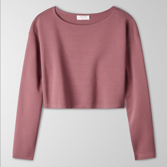 Aritzia Babaton Hessy Sweater (S) - Picture 1 of 12